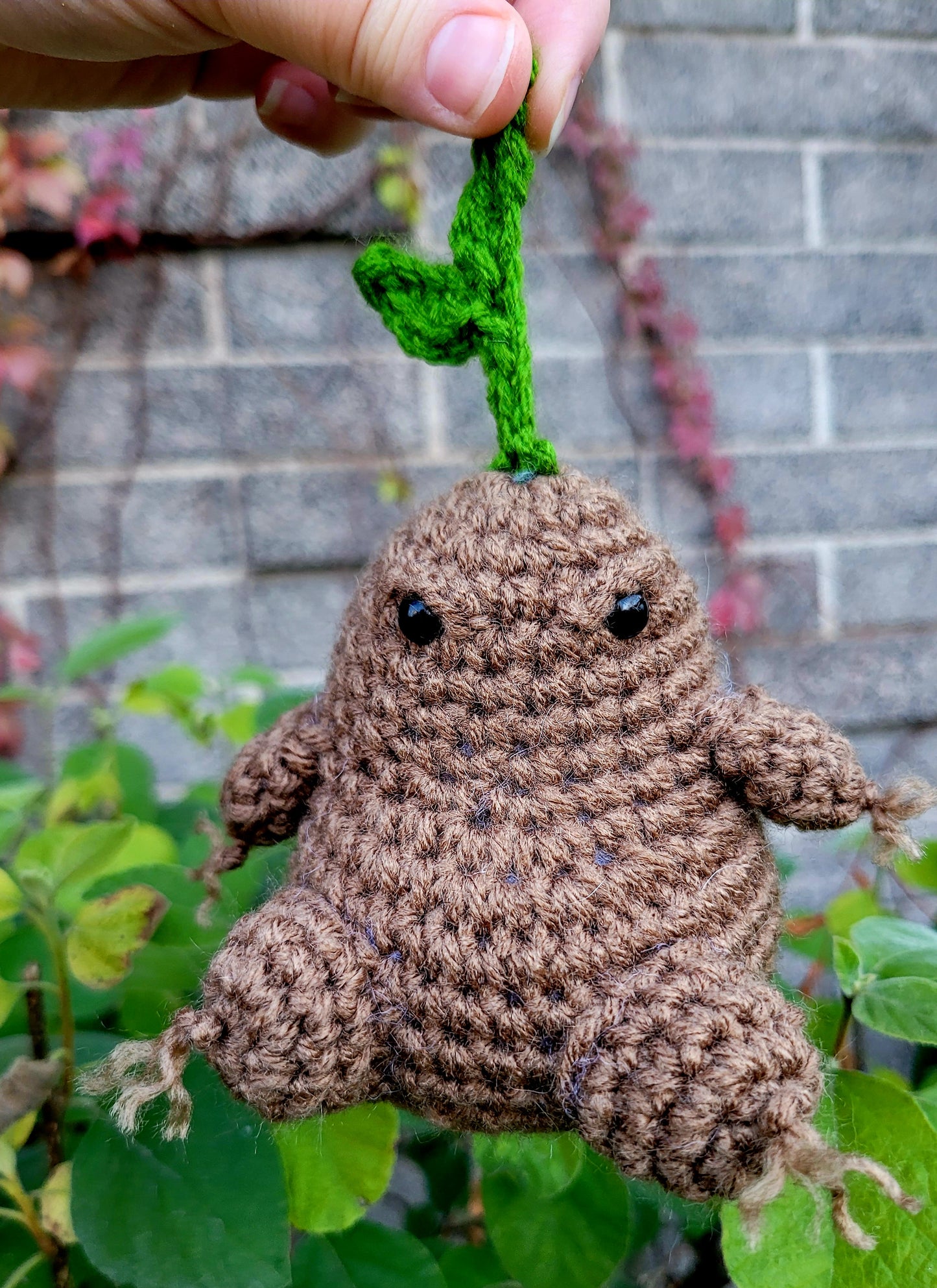Mandrake