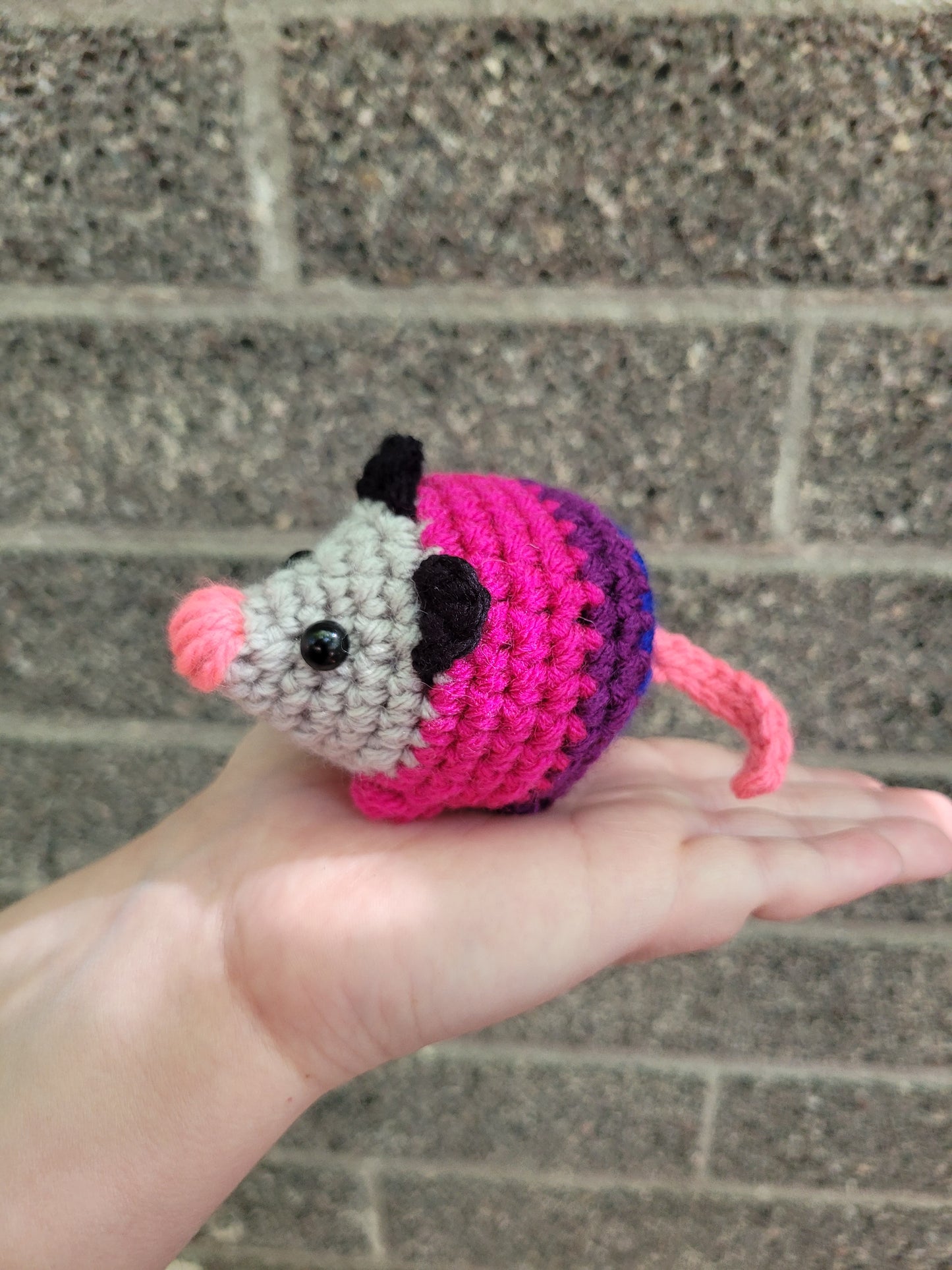 Pride Possums